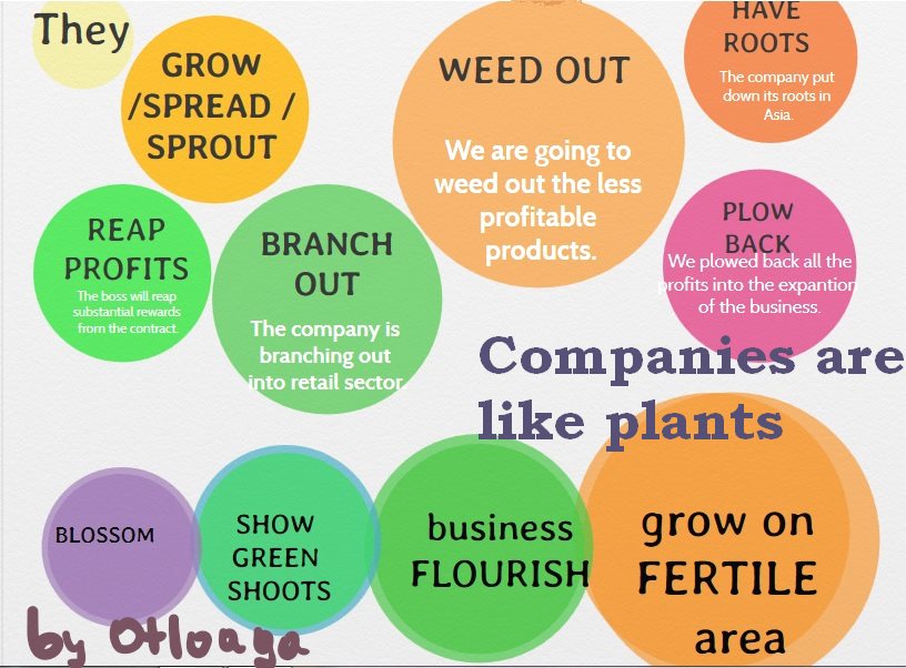 plants companies